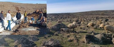 Kilis&rsquo;te Kuraklık Alarmı Merada Hayvanlar İ&ccedil;in Su Alanı Oluşturuluyor