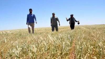 Kilis’te Kuraklıktan Etkilenen Çiftçiler İçin Başvuru Süreci Başladı