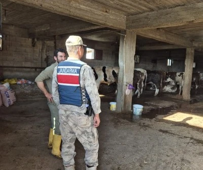 Kilis’te Kurban Bayramı öncesi önemli bilgilendirme