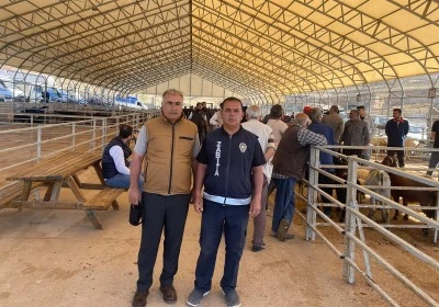 Kilis’te Kurbanlıklar sadece hayvan pazarında satılacak