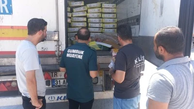Kilis&rsquo;te &Ouml;nc&uuml;pınar ve &Ccedil;obanbey&rsquo;de Hayvan ve Hayvansal &Uuml;r&uuml;nlere Sıkı Kontrol
