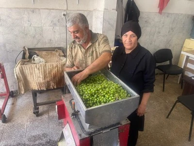Kilis’te Organik Koruk Suyu Yapımı Başladı