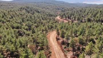Kilis'te orman denetimi