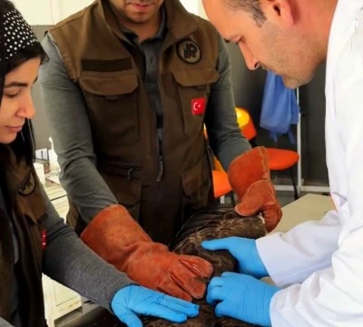  Kilis&rsquo;te Şahin &Ouml;zg&uuml;rl&uuml;ğe U&ccedil;tu