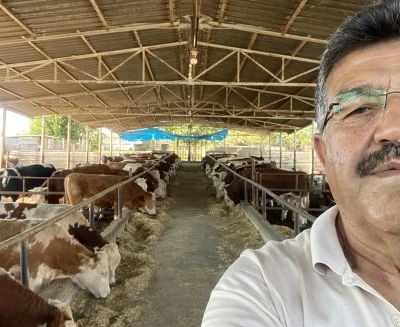 Kilis’te Şap hastalığı Kısıtlaması Krize Dönüştü Üretici Mağdur oldu