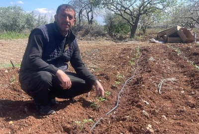 Kilis’te sebze fideleri toprakla buluştu