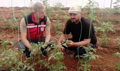 Kilis’te seralarda sebze üretimi başladı