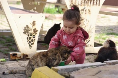 Kilis&rsquo;te Sokak Hayvanları G&uuml;n&uuml;&rsquo;nde Anlamlı Etkinlik