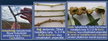 Kilis’te tarımda hastalık ve zararlılara karşı kış mücadelesi