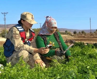 Kilis’te Tarlada Çalışan Kadınlara Bilgilendirme Desteği