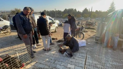Kilis’te Tavuk Pazarında Sessizlik Hakim