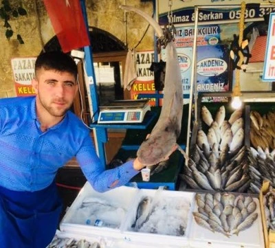 Kilis’te Taze Balık Sezonu Açıldı, Tezgahlar Doldu