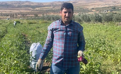 Kilis’te üretici de tüketici de mağdur: Kazanan yine aracılar oldu