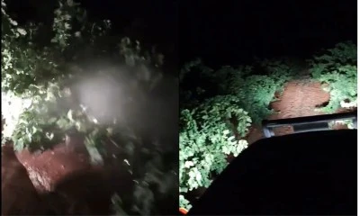 Kilis’te üzüm bağlarında gece mesaisi 