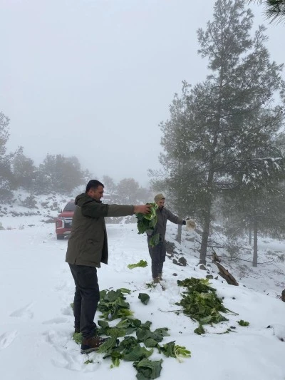 Kilis&rsquo;te Yaban Hayatı İ&ccedil;in &Ouml;rnek Duyarlılık