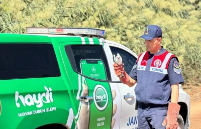 Kilis'te yaralı bulunan ak çaylak kuşu koruma altına alındı