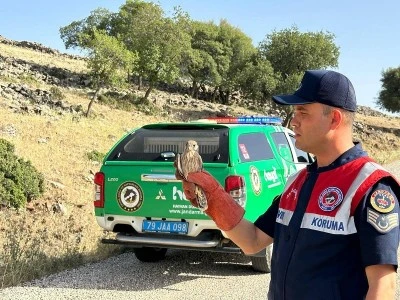 Kilis’te yaralı kuşu Jandarma kurtardı