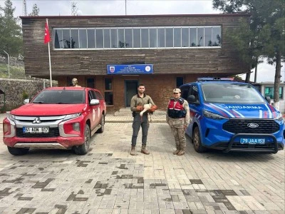 Kilis&rsquo;te Yaralı Leylek Kurtarıldı