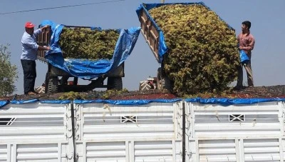 Kilis&rsquo;te Yaş &uuml;z&uuml;m fiyatı 11 TL olarak a&ccedil;ıklandı! Tepkiler &Ccedil;ığ Gibi B&uuml;y&uuml;d&uuml;