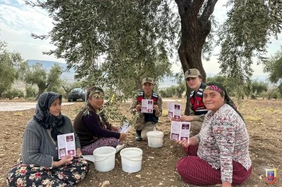 Kilis’te Zeytin Bahçelerinde Şiddetle Mücadele