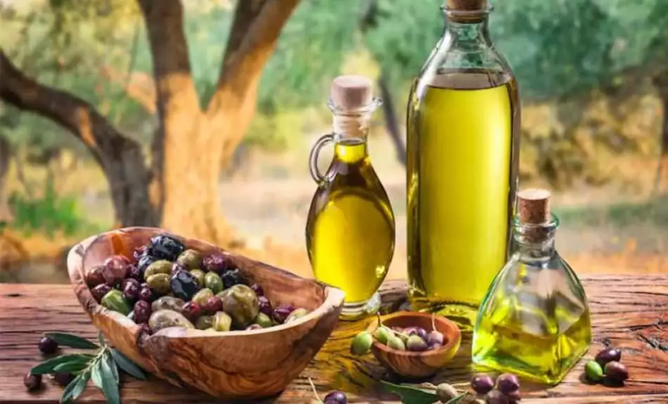 Kilis’te zeytin ve zeytinyağı Üretimi arttı, ‘Kilis yağlık’ markalaşıyor