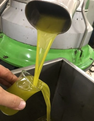 Kilis&rsquo;te Zeytinyağı Fiyatları Değişti!