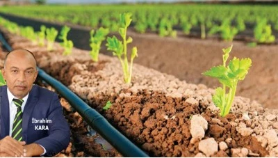 Kilis Ziraat Odası'ndan arazi sahiplerine müjde!
