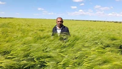 Kilis Ziraat Odası&rsquo;ndan Fiyatı &Ccedil;ağrısı: &ldquo;En Az 20 TL Olmalı&rdquo;