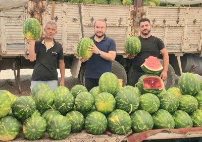 Kilis Ziraat Odası: &quot;Kola içmeyin karpuz yiyin&quot;