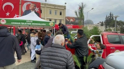 Kilisleri Ağaç Sevgisi Güldürdü