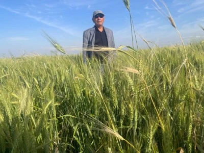 Kilisli &Ccedil;ift&ccedil;iden Buğday Fiyatı &Ccedil;ağrısı &ldquo;Bu Şartlarda &Uuml;retici Ayakta Kalamaz&rdquo;