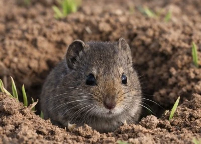  Kilisli &Ccedil;ift&ccedil;ilere Erken M&uuml;dahale Uyarısı