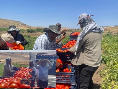 Kilisli &Ccedil;ift&ccedil;inin Feryadı Kazanan Aracılar Oluyor!