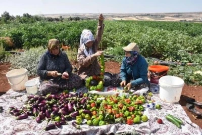  Kilisli Kadınların Kış Hazırlığı