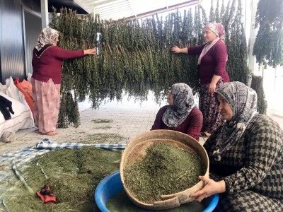Kilisli kadınların kışlık seferberliği