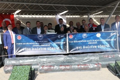Kilisli &uuml;reticiye b&uuml;y&uuml;k destek: 400 bin fide ve &uuml;z&uuml;m şalı dağıtıldı