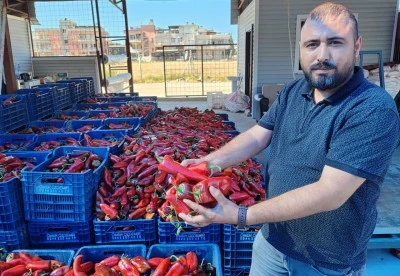 Kırmızı biber hasadıyla birlikte salça sezonu da açıldı 