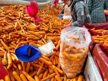 Kışlık havuç hasadı başladı