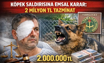 K&ouml;pek Saldırısında Emsal Karar: 2 Milyon TL Tazminat