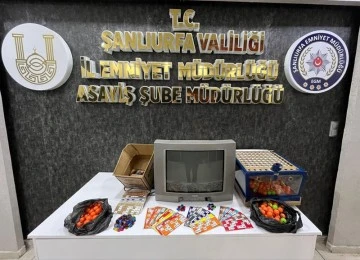 Kumar operasyonu: 5 gözaltı
