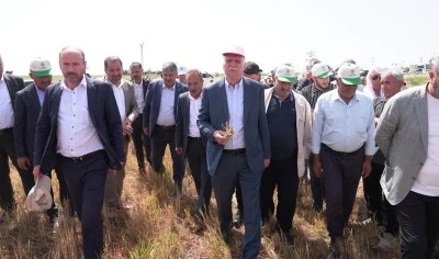 Kuraklık nedeniyle % 85’lere varan oranda verim düşüklüğü 