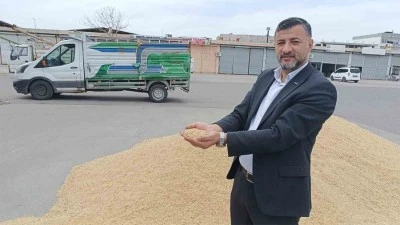 Kuralık endişesi!