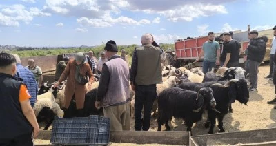 Kurban hakkında ayet ve hadisler