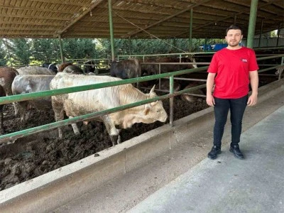 Kurbanlık fiyatlarında geçen yıla oranla artış var mı?