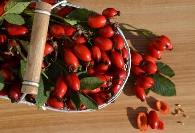 Kuşburnunun Faydaları: Portakaldan Kat Kat Fazla C Vitamini İ&ccedil;eren Doğal Şifa Kaynağı