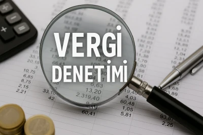 Maliye 10 ayda 50 bin mükellefi inceledi: 220 milyar lira vergi ve ceza