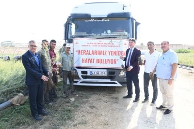 Mardin'de 2 milyon tuz çalısı fidanı yetiştirildi