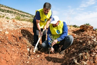 Merhum Orman İşletme Müdürü İsmet Gümüş’ün Anısına Fidan Bağışı Kampanyası Başlatıldı