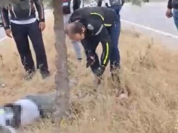 Motosiklet refüjdeki ağaca çarptı: 1 ölü