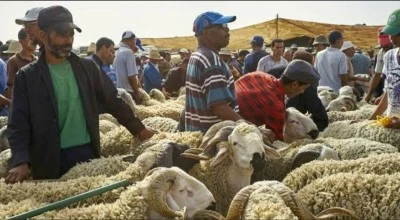 Müslüman Ülkede Kurban Satışı yasaklandı